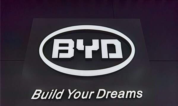 比亚迪李云飞：比亚迪今年要卖300万台车