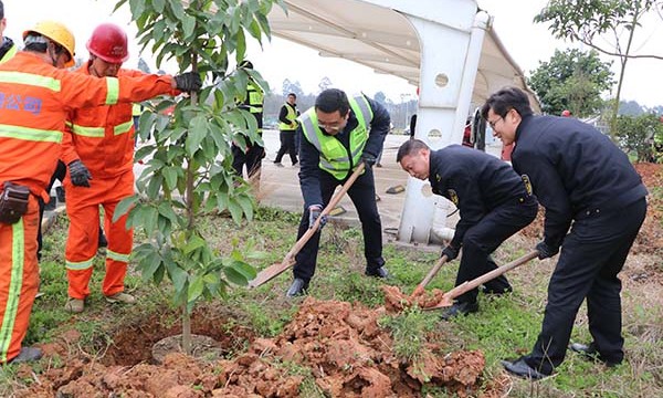 队企协作添新绿 党建引领美环境