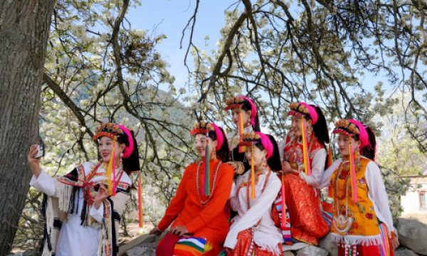 接近市场做营销  四川丹巴县创新开展春赏梨花活动