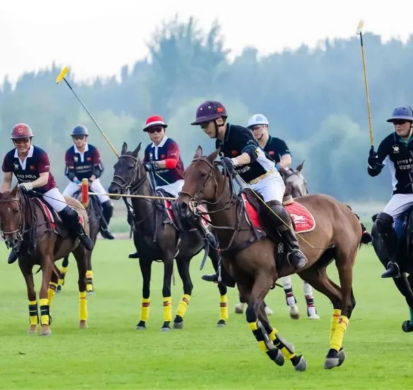 20250827161031747593109