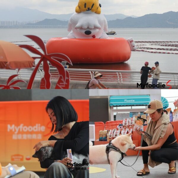 202510091129371841959420 202510091129371841959420