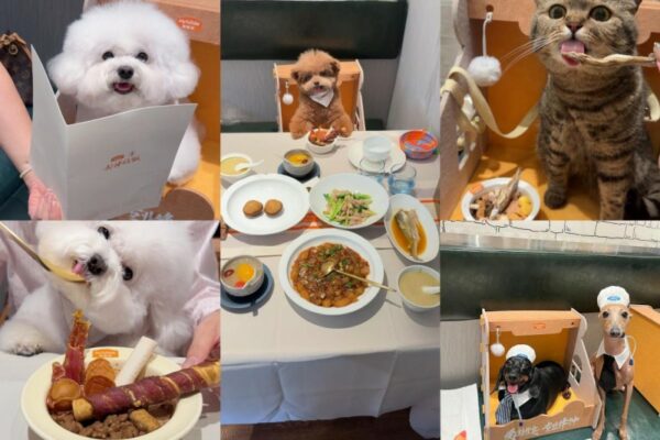 202510091129371888389950 202510091129371888389950