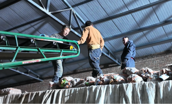 ajaxdzEgpmglItHl ajaxdzEgpmglItHl