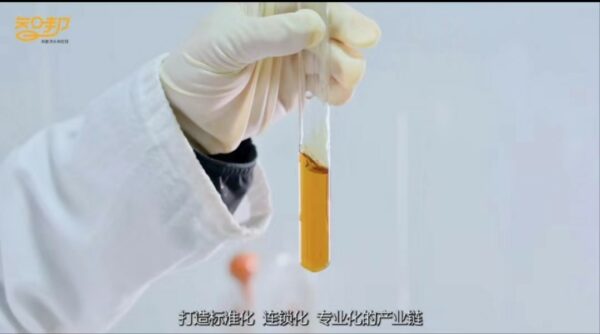 202512011350141846498313