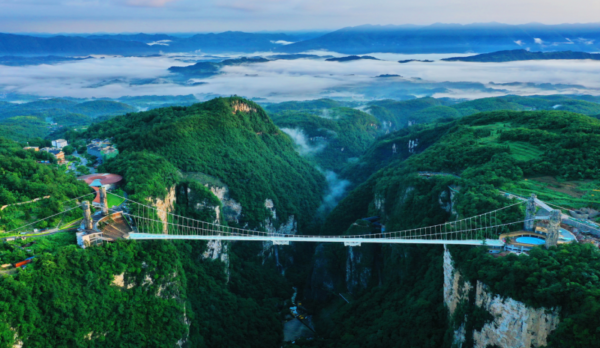 202512020939341393751964