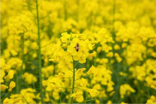 69400dec15f1f 69400dec15f1f