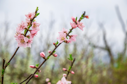 69400dec750d3 69400dec750d3