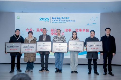 69500764a65ec 69500764a65ec