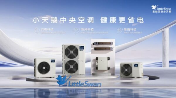 20260129165620747022252 20260129165620747022252